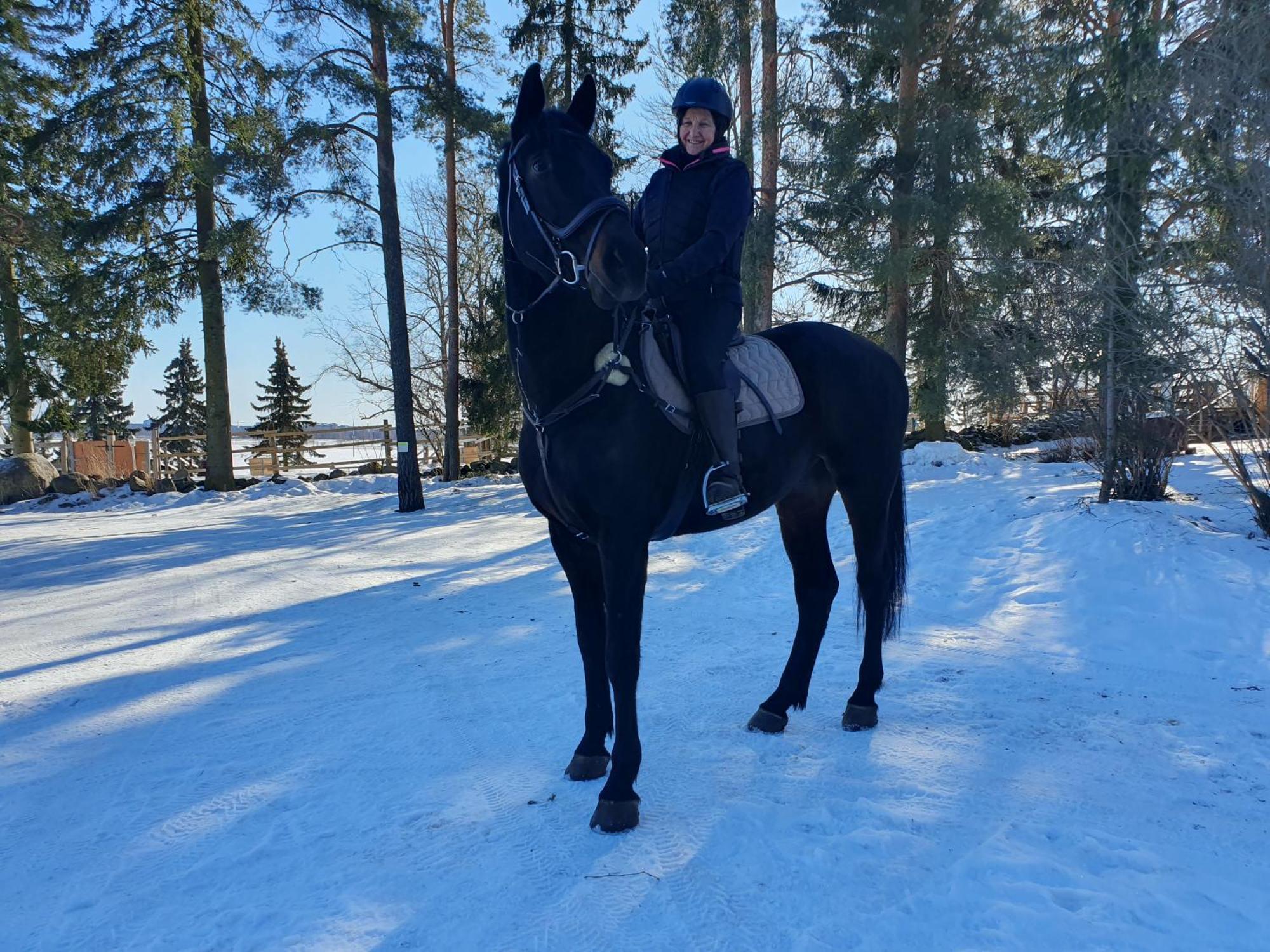 Seinäjoki Siirilaen Tila 게스트하우스 외부 사진