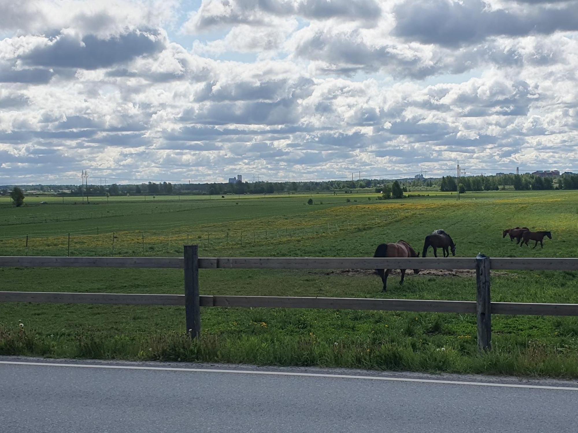 Seinäjoki Siirilaen Tila 게스트하우스 외부 사진