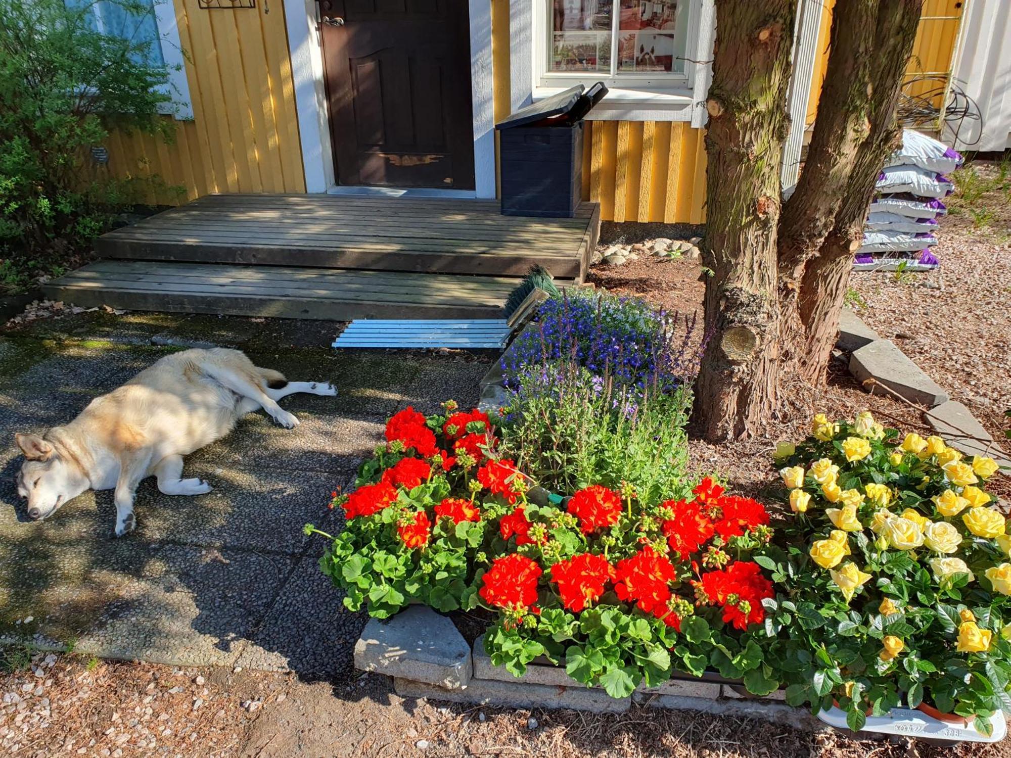 Seinäjoki Siirilaen Tila 게스트하우스 외부 사진